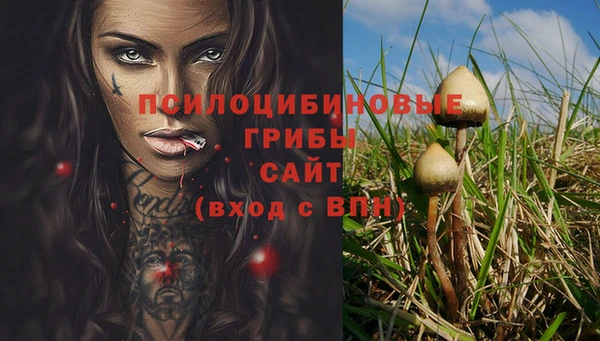 2c-b Кулебаки