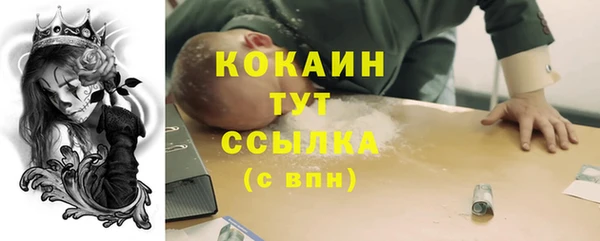 стаф Кукмор