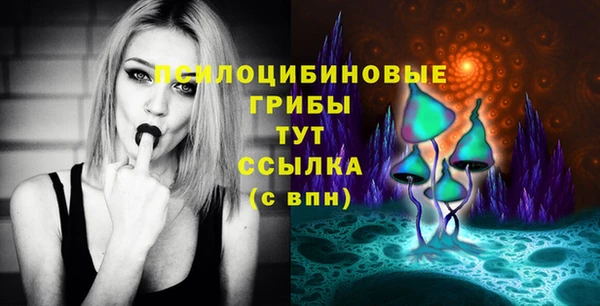 стаф Кукмор