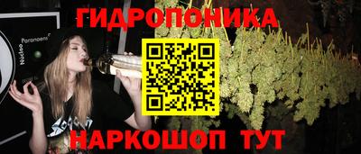 a pvp Можга