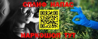 a pvp Можга