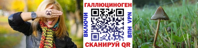 Псилоцибиновые грибы GOLDEN TEACHER  Мурино 