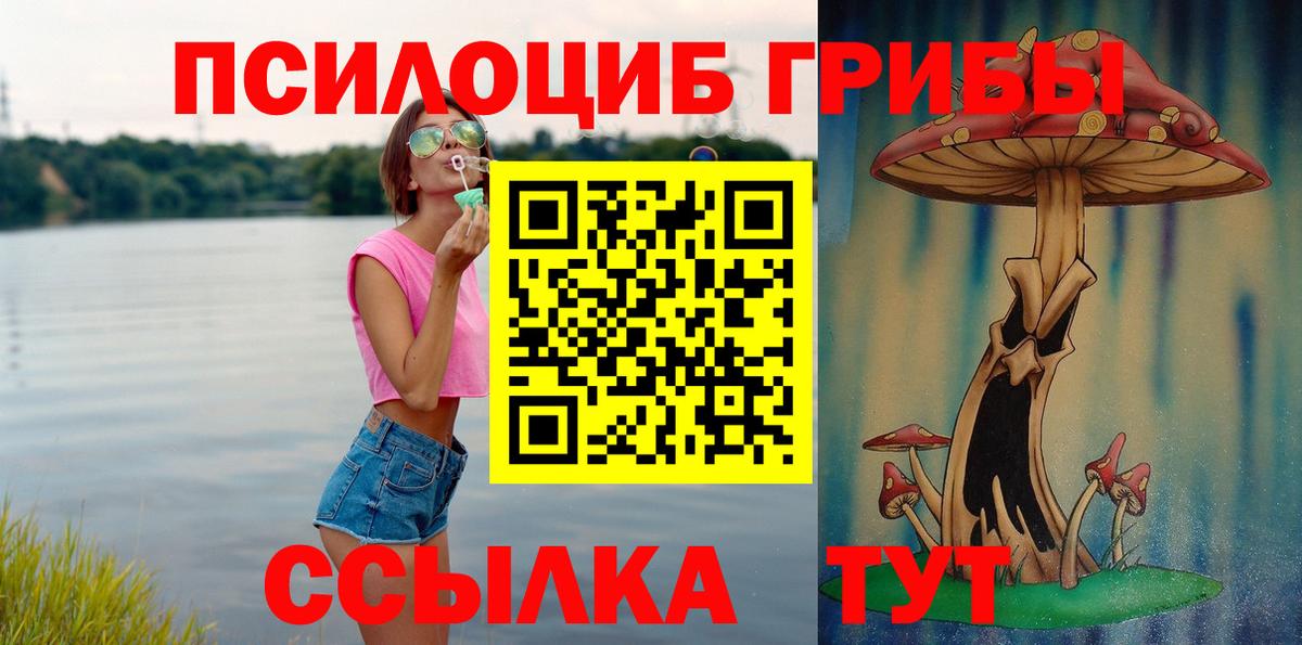 Псилоцибиновые грибы прущие грибы Мурино