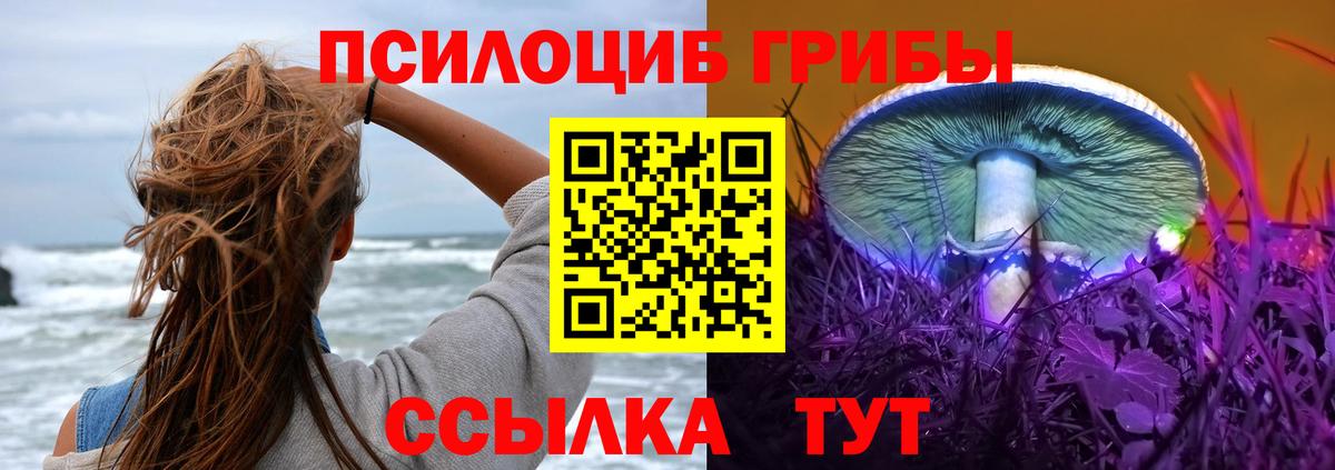 Псилоцибиновые грибы MAGIC MUSHROOMS  Вход с VPN  Мурино 