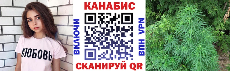 наркошоп  Мурино  Бошки Шишки OG Kush 
