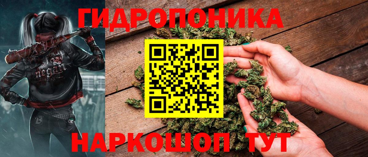 Марихуана SATIVA & INDICA Мурино